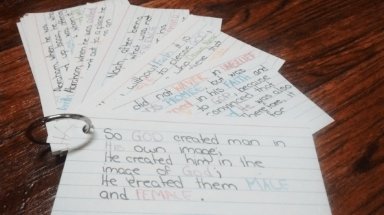 Scripture Cards